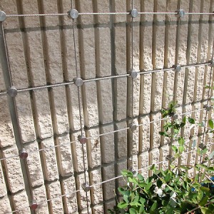 Trellis Systems