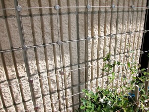 Stainless Steel Cable Trellis System 2000-60